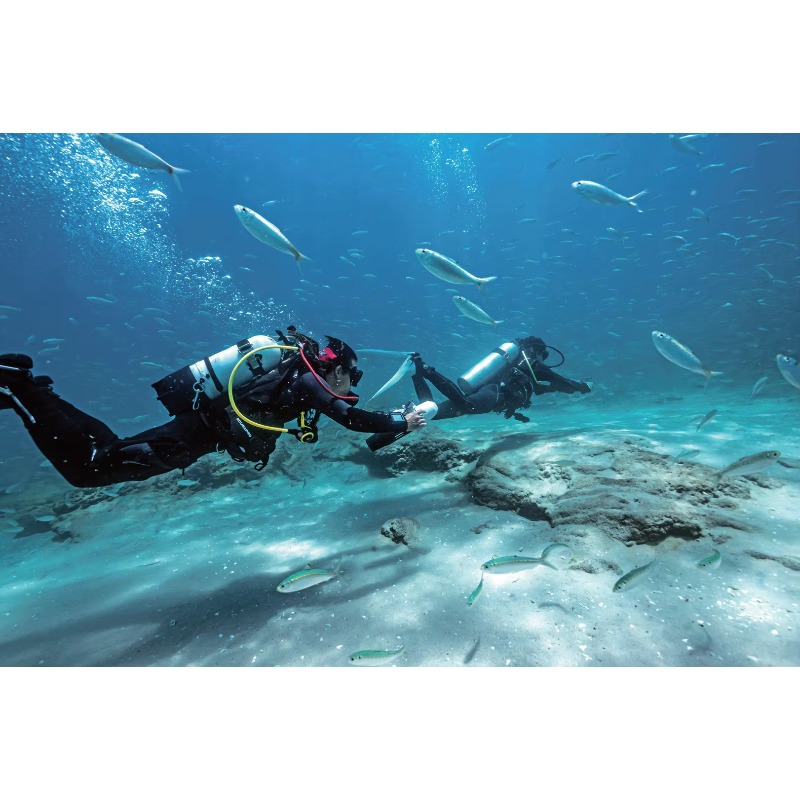 High-Speed Electric Underwater - Snorkel Dry Top บทวิจารณ์และราคา